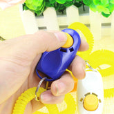 Pikapet Click Training Tool